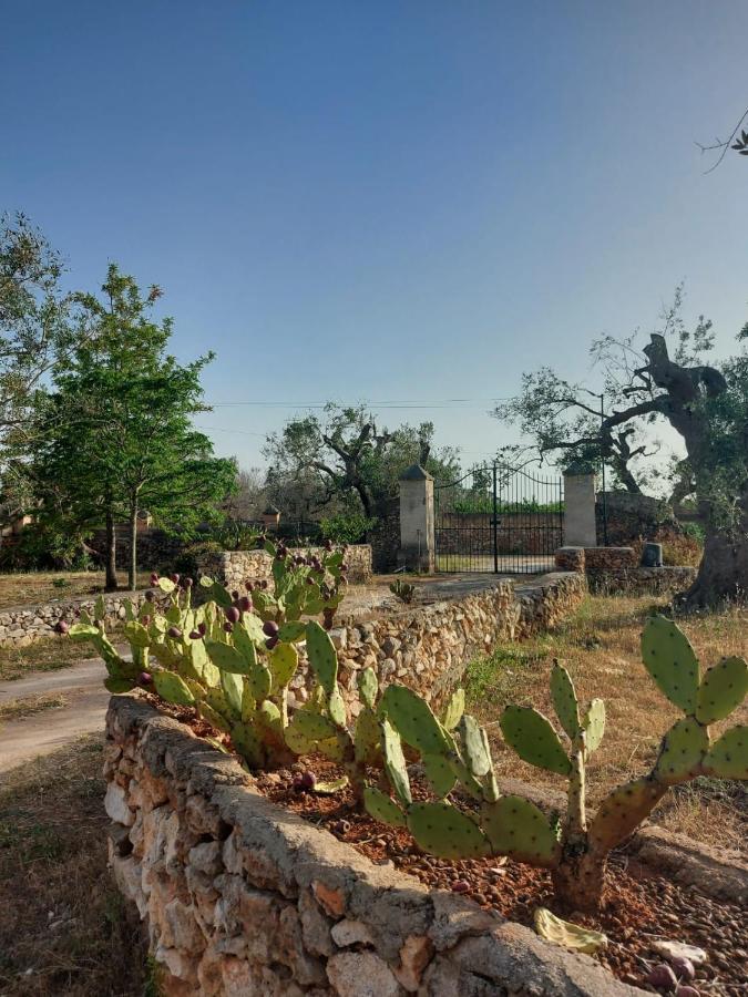 La Petraia Villa Magliano Exterior photo