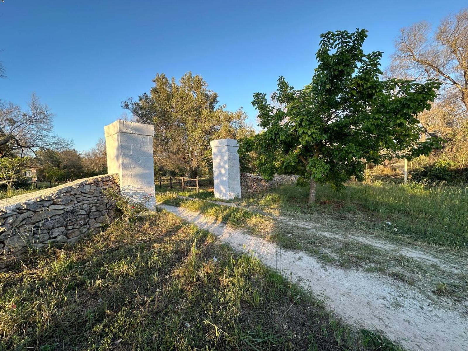 La Petraia Villa Magliano Exterior photo