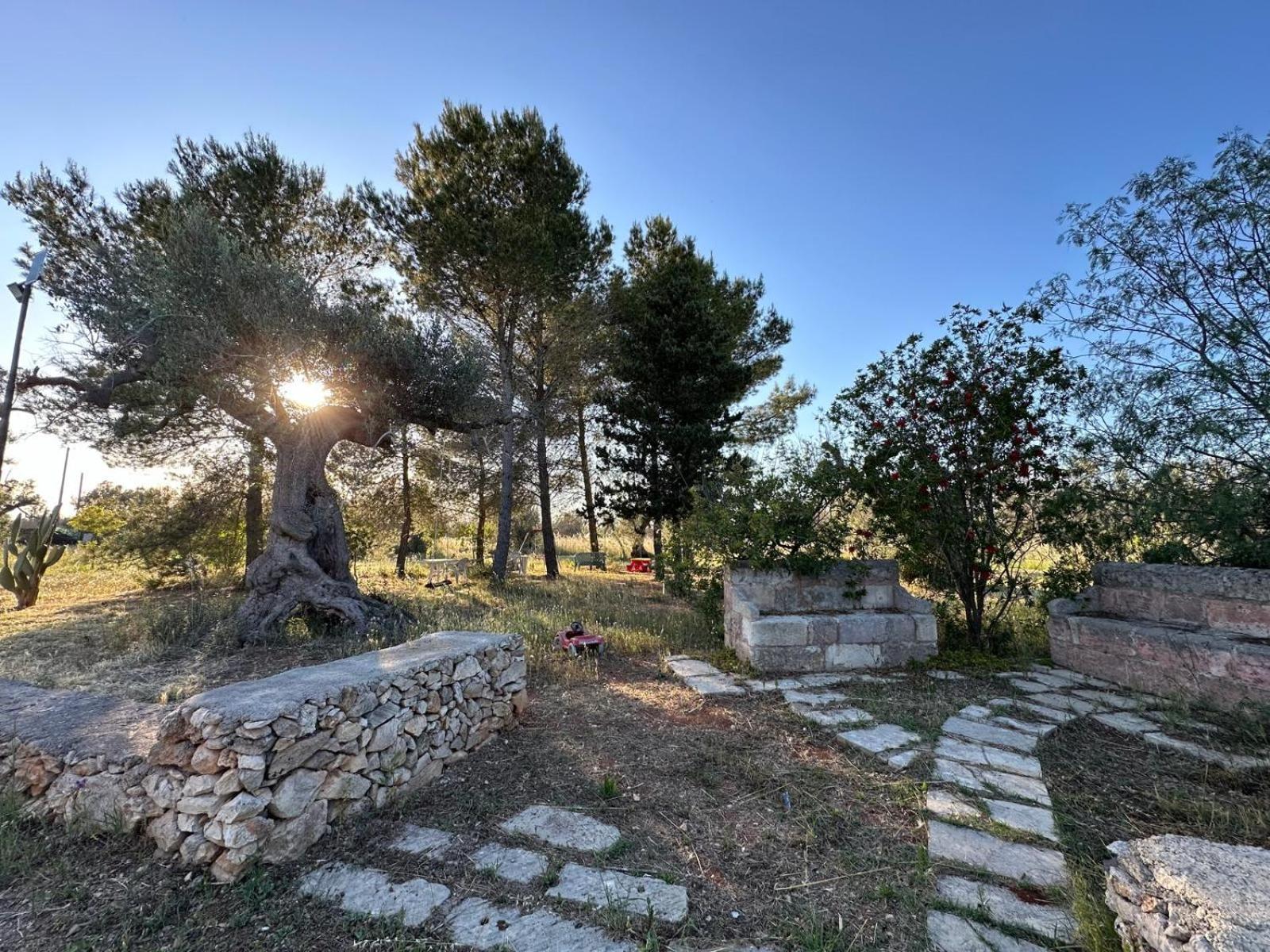 La Petraia Villa Magliano Exterior photo